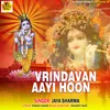 About VRINDAVAN AAYI HOON Song