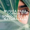 Música Relajante