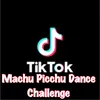 Machu Picchu Dance Challenge