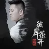 About 彼岸花开 Song