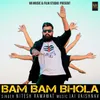 About BAM BAM BHOLA Song