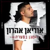 About מגן בסערה Song