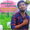 About Vellipoke Pranama Nannodali Nuvvu Song