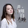 About 是我明白太晚 Song