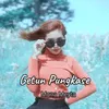 About Getun Pungkase Song