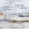 אני שרה