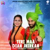 About TERI MAA DIAN JHIRKAN Song