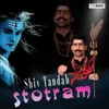 About Shiv Tandab Stotram Song