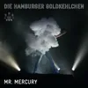 About Mr. Mercury Song