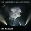 Mr. Mercury