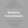 About Bachata en New York Song