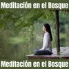 Meditación