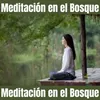 Melodías Suaves para Meditar