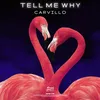 About Tell Me Why Song