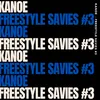 About Freestyle Savies 3 Song