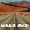 About Bachata del Amargue Song