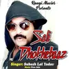 About Sali Dhokhebaaz Song