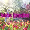 About Baladas Romanticas Song