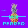 About Mix Perreo Song