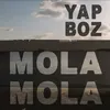 About Yapboz Song