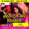 About Kari Turi Mare Pichkari Best Cg Holi Song Song