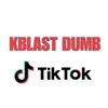 About Kblast Dumb Challenge Song