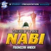 About Mere Pyare Nabi Song