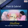 About Shallow Song