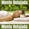 Meditacion Ambiental