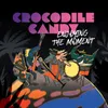Crocodile Candy