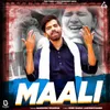 Maali