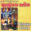 Mrityunjaya Strotra