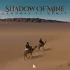 About Shadow of Mine Song