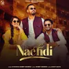 About Nachdi Song