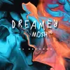 About Dreamer Song
