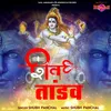 About Shiv Tandav Song