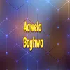 About Aawela Baghwa Song