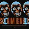 About SOCIUM IGNORE Song