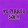About Yo Perreo Sola Remix Song