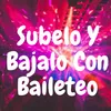 About Subelo y Bajalo Con Baileteo Song