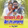 About Paswan Ji Ke Beta Rang Lagayega Song