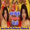 About Jaan Lebu Ka Pichkariya Thheka Ke Song