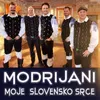 Moje slovensko srce