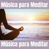 Meditacion Ambiental