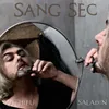 Sang sec