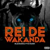 Rei de Wakanda