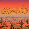 About Cayendo Song