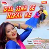 About Dil Sina Se Nikal Ke Song