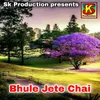 About Bhule Jete Chai Song