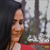 About Prim Şah-I Merdan Song